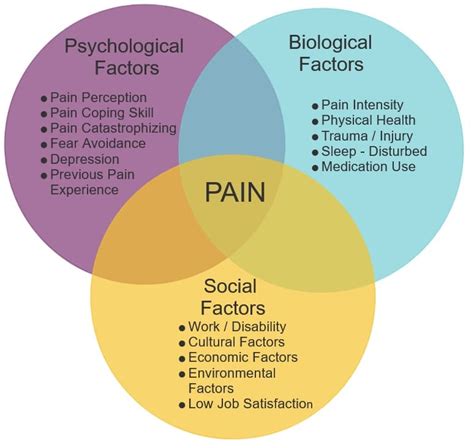 Biopsychosocial Model Of Pain Diagram What Is Pain