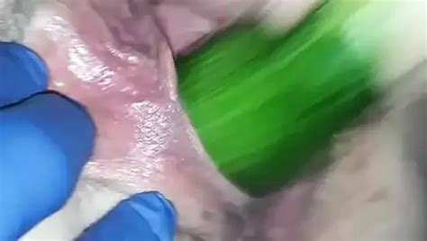 Bbw Zichzelf Plezieren Xhamster