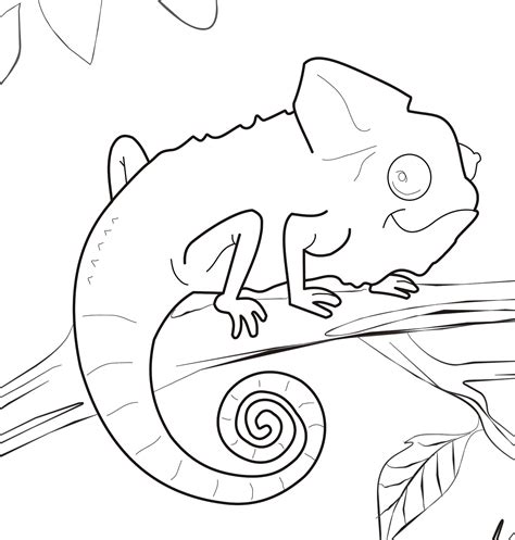 Chameleon Coloring Pages - Best Coloring Pages For Kids