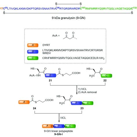 PDF Insights Into The Mechanism And Catalysis Of Peptide Thioester