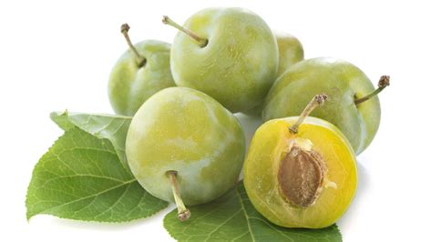 What Makes Greengage Plums Unique