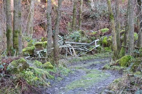 Model Secretly Filmed Naked By Police Officer Pulled Her Own Hair Out