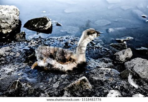 Mars Stuck In Tar By Stickyscribbles Hentai Foundry My XXX Hot Girl