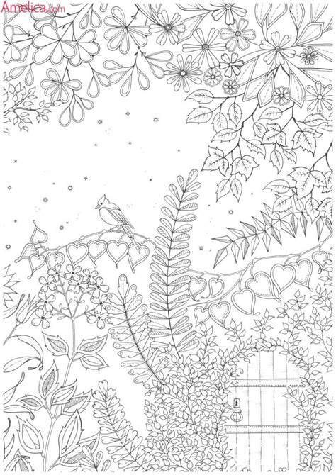 раскраски взрослые волшебный сад, зачарованный лес | Garden coloring ...