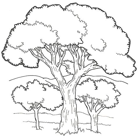 Árbol 154733 Naturaleza Dibujos para Colorear e Imprimir Gratis