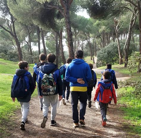 Las Rozas Pone En Marcha Un Nuevo Programa De Educaci N Ambiental