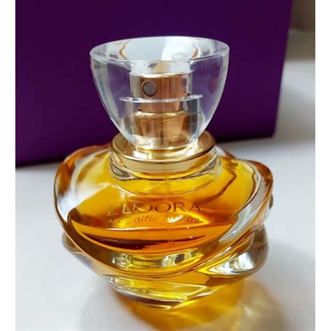 Novo Magnific Audaz Eau De Parfum Ml Shopee Brasil