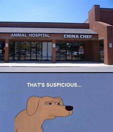 Animal Hospital China Chef Suspicious Sus Dogs Know Your Meme