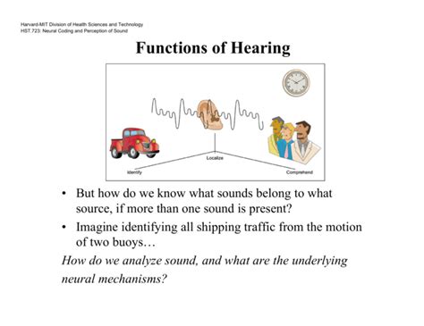 Functions of Hearing