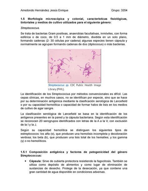 Tarea 1 bien 1 Morfología microscópica y colonial características