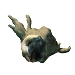 void sprite parts endless sky wiki fandom