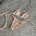 NUDE DOTS Minimal Bikini Set Etsy