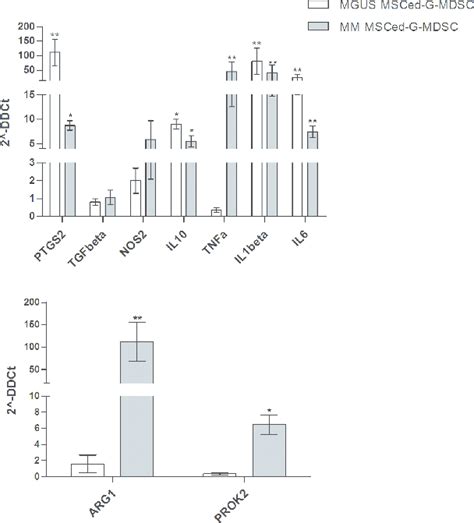 Expression Of Immune Modulatory And Pro Angiogenic Factors By