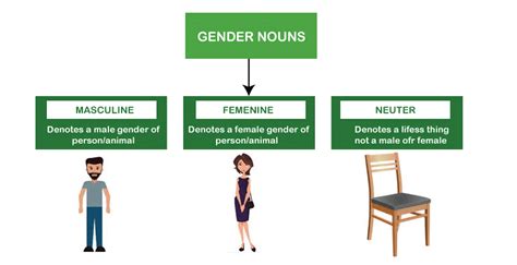 English Grammar The Gender Of Nouns In English Learn English Vocabulary