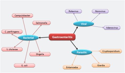 Gi Infections Flashcards Quizlet