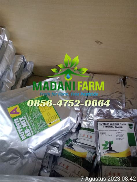 cara membuat nutrisi ab mix