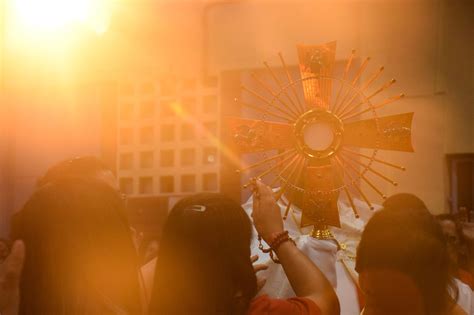 Finding Profound Love In Eucharistic Adoration St Paul Center