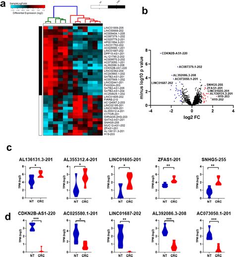 Alteration In LncRNA Expression In CRC Vs NT A Hierarchical