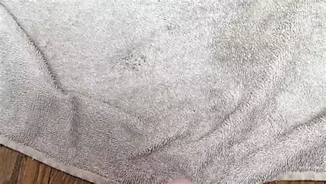 Donny Fox Gay Porn Videos Sex Model Nudes Xhamster