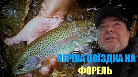 ЛОВИМО ФОРЕЛЬ(GoldFish) - YouTube