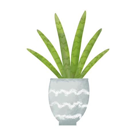 aloe vera plant pot 38061258 PNG