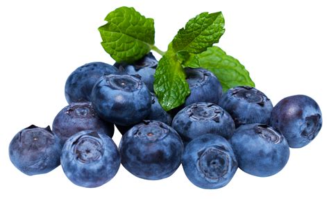 Blueberries PNG