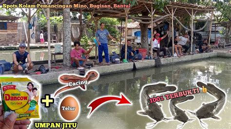 Terlalu Cepat Kuras 1 Kolam Isi Lele 2 5KW Naik Semua Umpan