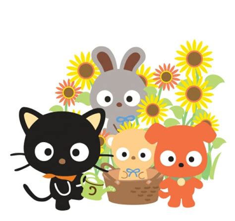 Chococat | Hello kitty pictures, Sanrio characters, Cartoon fox drawing