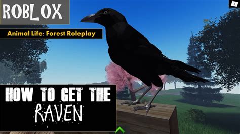 Roblox Animal Life Forest Roleplay How To Get The Raven Youtube