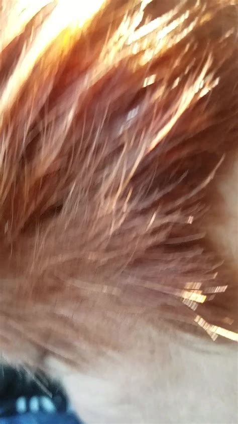 Abuela Calle Free Granny Hd Porn Video Aa Xhamster Xhamster