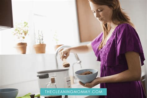 Learn How to Clean A Rice Cooker the Right Way! - The Cleaning Mommy