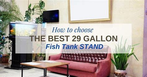 Best Fish Tank Stand: Learn These Tips To Get Yourself