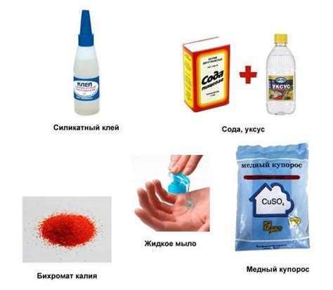 Плесень в квартире: чем опасна, как бороться с грибком