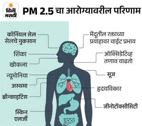 World Air Quality Report 2023 Update Delhi Air Pollution Iqair Bangladesh Pakistan जगातील