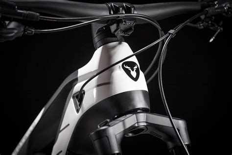 R.C750 | Ultra | ROTWILD Gath Bikes