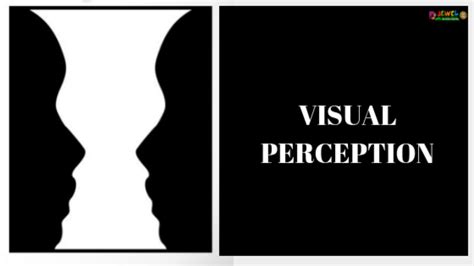 Visual Perception Images