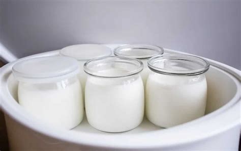 Prepare Delicious Yogurt At Home With Top 5 Yoghurt Maker