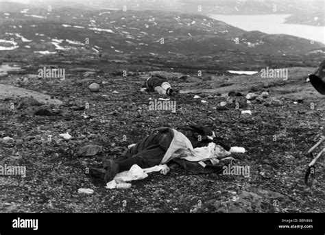 Events Second World War Wwii Russia Fallen Soldiers Dead Bodies