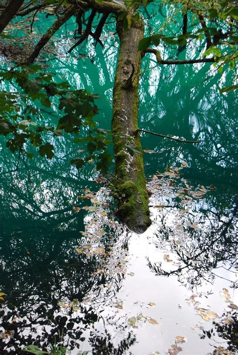 Голубое озеро, Кабардино-Балкария | Пикабу