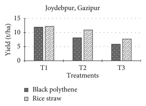 Effect Of Irrigation And Mulches On The Yield Average Of Both Years