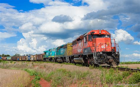 sd    mandaguari pr  pair  sd   mandagua flickr