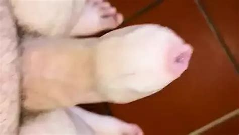 Zuhause Gay Porn XHamster