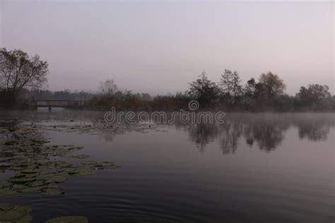 Foggy Sunrise on an Autumn Lake Stock Image - Image of natural, tree: 128845803