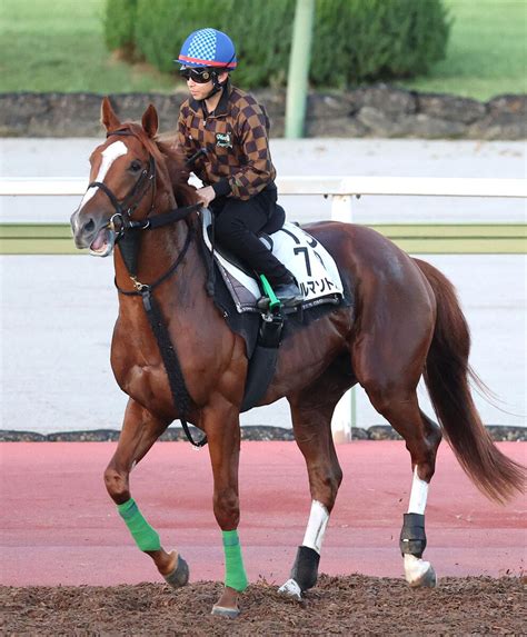 【注目馬動向】デルマソトガケは予定通りルメール騎手と米bcクラシックへ Umatoku 馬トク