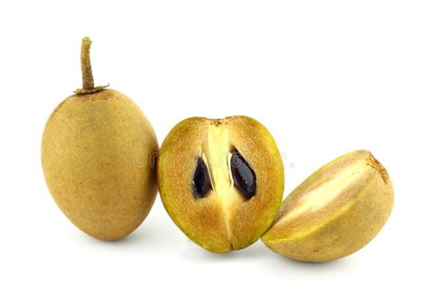 Fresh Sapodilla fruits stock photo. Image of sapodilla - 26089390