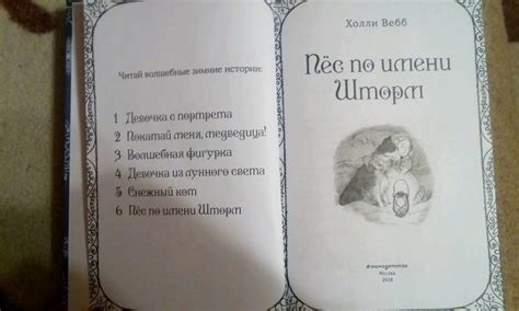 Книга: Рождественские истории. Пёс по имени Шторм - Холли Вебб. Купить ...