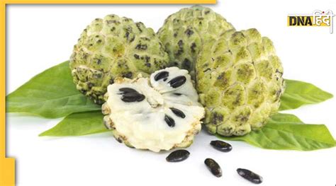 Custard Apple Benefits सीताफल के मीठे से कंट्रोल होती है डायबिटीज