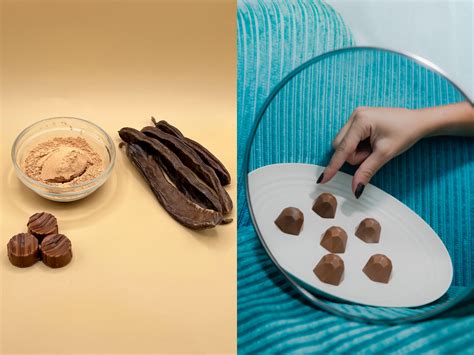 foreverland-cocoa-free-chocolate-choruba-carob-funding-factory-1 - Green Queen