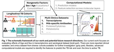 Systems Immunology Unravels The Age Sex Effects On The Immune Correlates Of Tuberculosis TB