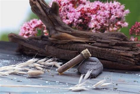 Магическое масло. Душица | Erbe